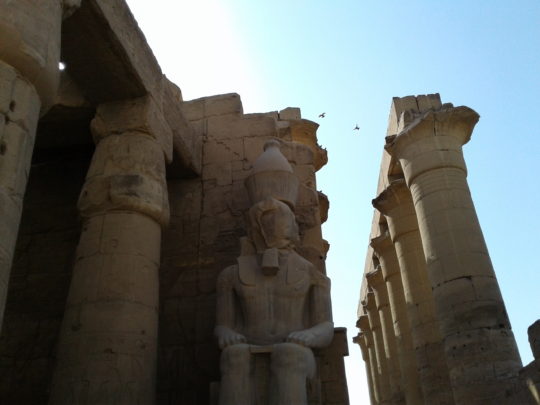 birds-and-pharaoh-_-temple-at-luxor-_-ernest-white-ii
