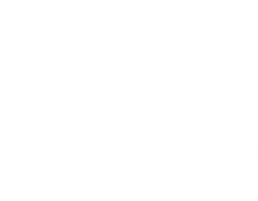MetalShake by Sweden